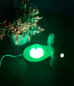 Humidificador De Aguacate