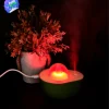 Humidificador De Aguacate