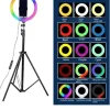ARO DE LUZ RGB MULTICOLOR 26 CM
