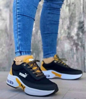 PUMA VALVULAS